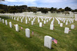 Headstones and Flags at National Cemetery Headstones and Flags at National Cemetery