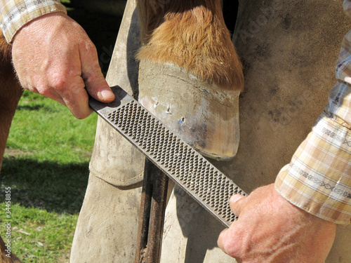 Photo: Rasping a Horseshoe and Hoof Rasping a Horseshoe and Hoof