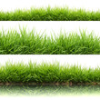 Foto: 3 style fresh spring green grass 3 style fresh spring green grass