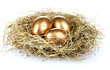 golden eggs in nest isolated on white