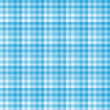 White and blue seamless gingham pattern