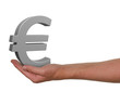 Der Euro