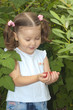 A smiling girl holding the palms of raspberries