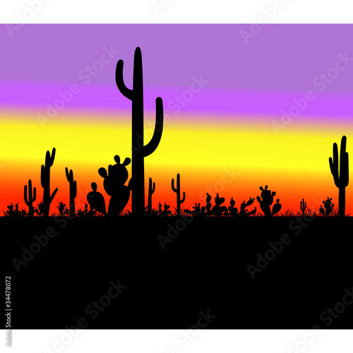 Vector: cactus silhouette in desert cactus silhouette in desert