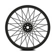 Bike wheel - vector illustration on white background Bike wheel - vector illustration on white background