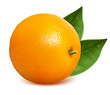 Vector fresh ripe orange with leaves.
