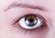 Ein offenes Auge