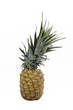 Pineapple isolated on white with a clipping map Pineapple isolated on white with a clipping map