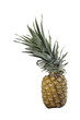 Pineapple isolated on white with a clipping map Pineapple isolated on white with a clipping map
