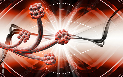 Illustration: Alveoli Alveoli