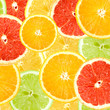 Abstract background of citrus slices Abstract background of citrus slices