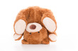 teddy