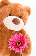 bär mit blume