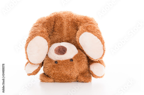 Photo: teddy teddy