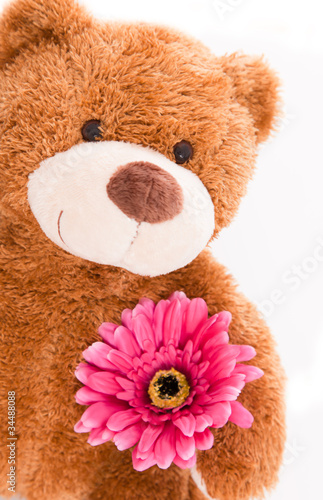 Photo: bär mit blume bär mit blume