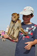 Marrakech : Dresseur de singe Magot