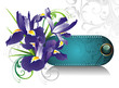 Bouquet of blooming irises