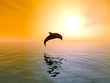 Jumping Dolphin