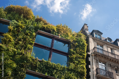 Foto: façade végétale - Musée Branly façade végétale - Musée Branly