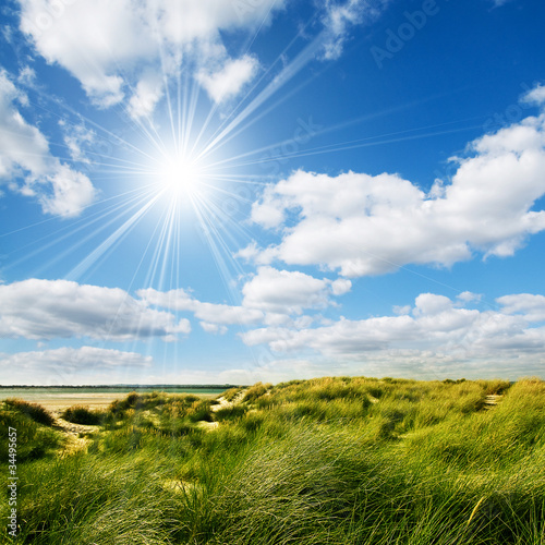 Photo: sunny grassland sunny grassland