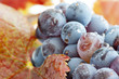 Raisins