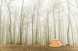 tourist tent stands in the misty forest