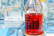 laboratory