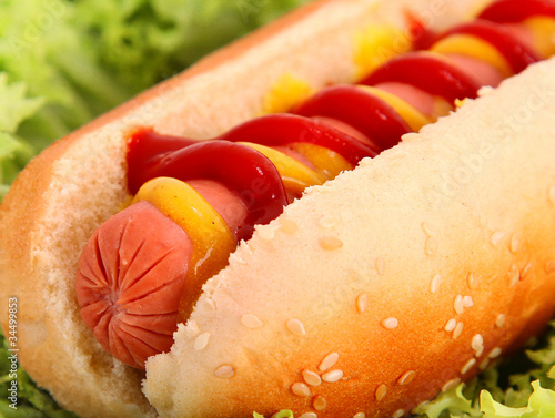 Photo: hot dog hot dog