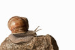 Photo: Escargot de Bourgogne Escargot de Bourgogne