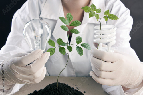 Photo: Scientist holding seedling in laboratory Scientist holding seedling in laboratory