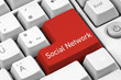 Social Network