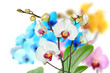 Orchideen 101