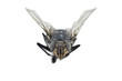Extreme Close Up of Fly Insect Extreme Close Up of Fly Insect