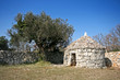 Istrian shelter kazun, stonewall and the olive tree Istrian shelter kazun, stonewall and the olive tree