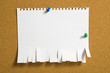 Torn Paper Torn Paper