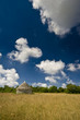 Istrian kazun and the golden field Istrian kazun and the golden field