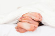 Stack of feet in a bed Stack of feet in a bed