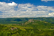 View on city of Motovun