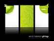 Set of nature gift cards with reflection. Set of nature gift cards with reflection.