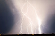 Arizona Lightning 2011d