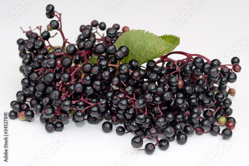 Foto: Holunderbeeren Holunderbeeren