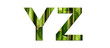 Alphabet bambou YZ
