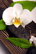 Wellness/Kosmetik Wellness/Kosmetik