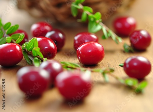 Photo: Früchte, Cranberries Früchte, Cranberries