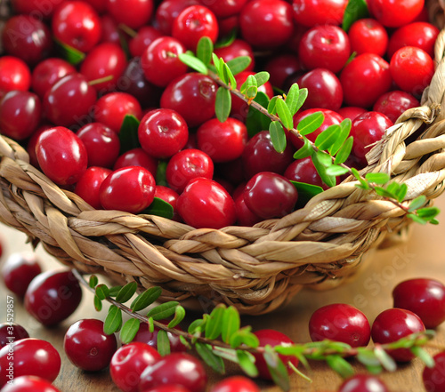 Photo: Früchte, Cranberries Früchte, Cranberries