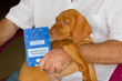 Foto: EU Heimtierausweis EU Heimtierausweis