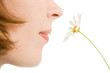 Girl smelling a flower on a white background.