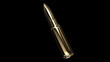 Bullet