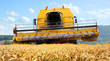 Combine harvesting wheat