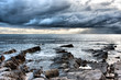 Wild Coast